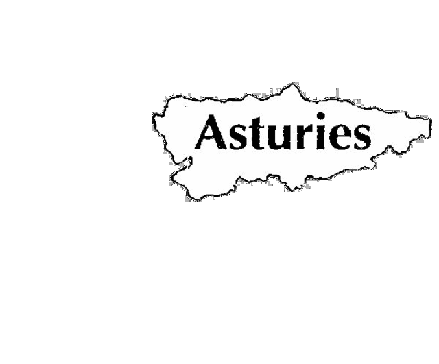Asturies Manufacturing